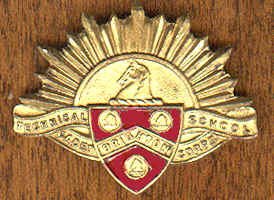 RS BTS Cadet badge.JPG (130605 bytes)